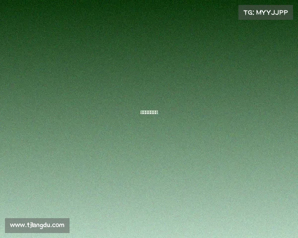 法国对秘鲁结果